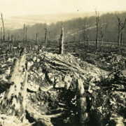 Bois des Caures. © Mémorial de Verdun