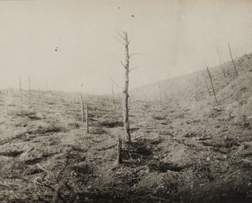 Ravin des Fontaines (Bois de Vaux-Chapitre, O. du Fort de Vaux) Juillet 1916 - Le terrain bombardé. © coll.La contemporaine_207_033