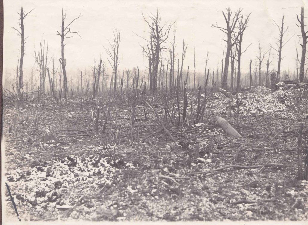 Parcelle du bois des Caures dévastée. Photographie allemande. Collection Mémorial de Verdun