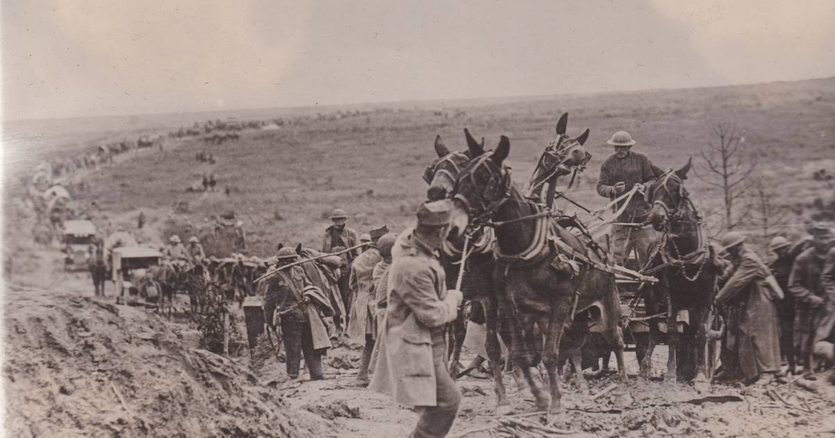 Bataille De Saint Mihiel 1918 | Le Saillant De Saint Michiel – NZSIJ