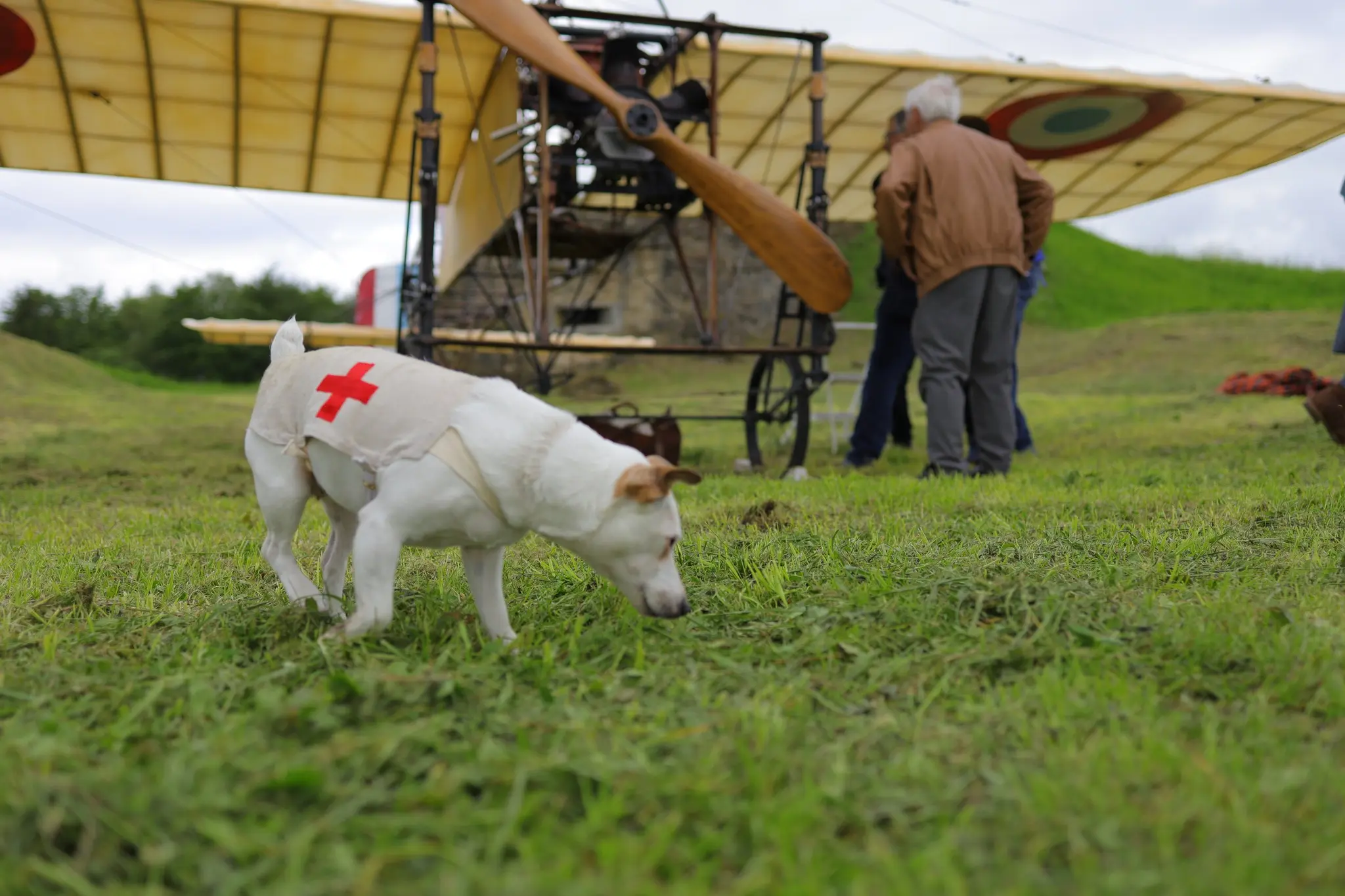Blériot XI, Club Aéro des Garrigues, week-end aviation 2024 © Mémorial de Verdun / Emil Gersch