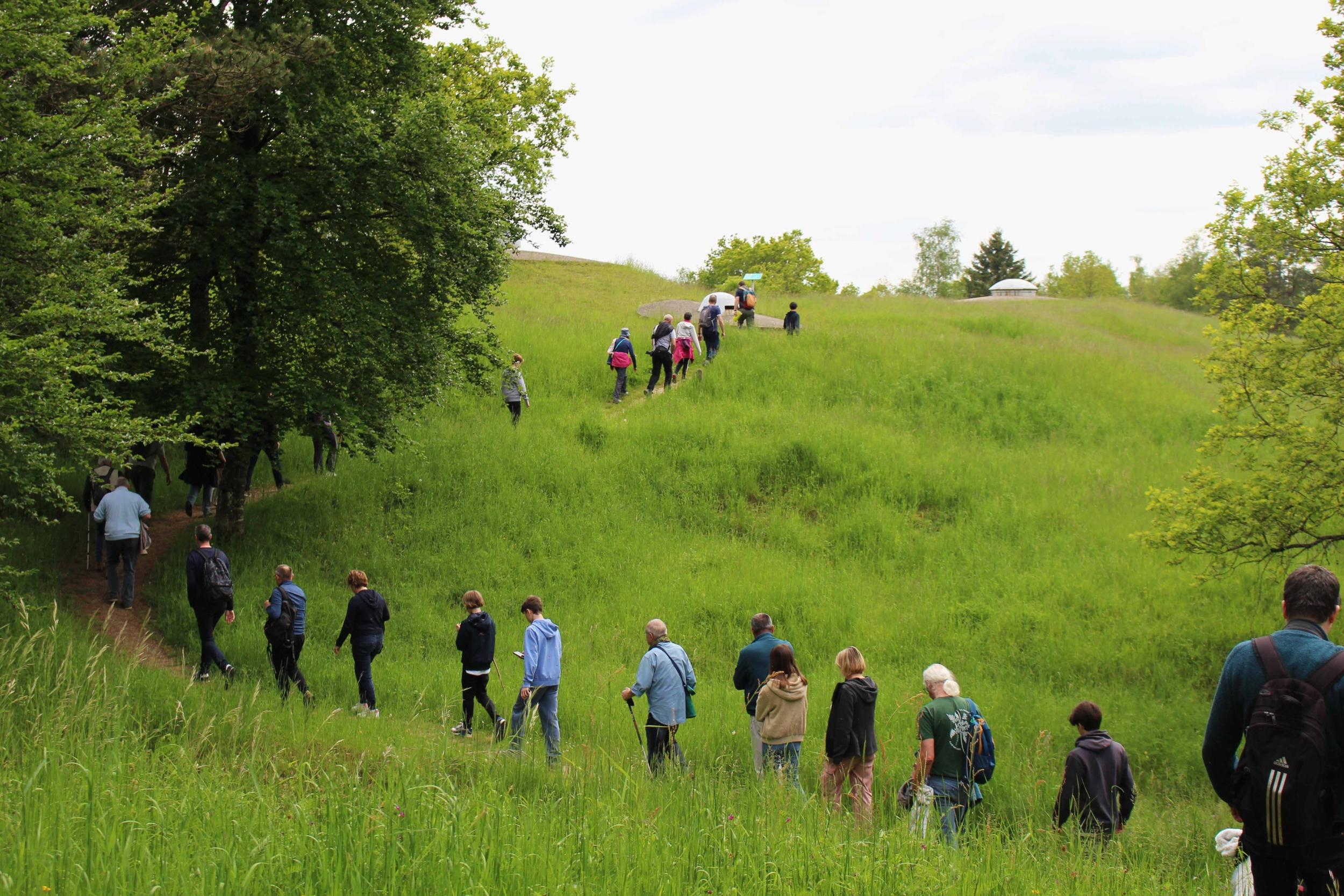 Dates Suivez l'historien - vendredis après-midi - 2025