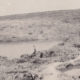 Aux abords de l'étang de Vaux, photo allemande. Été 1916. © Mémorial de Verdun