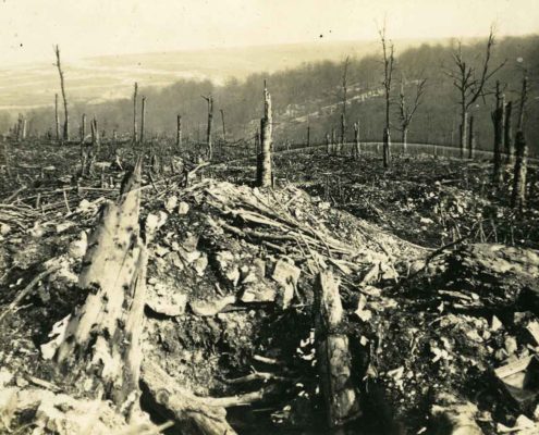 Le bois des Caures en 1917-1918. Photographie allemande. © Mémorial de Verdun.