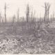 Parcelle du bois des Caures dévastée. Photographie allemande. Collection Mémorial de Verdun