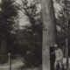 Le Four de Paris (près). Faux arbre en tôle servant de sortie de secours à un poste de mitrailleurs. 8 juillet 1917. La Contemporaine. BDIC_VAL_192_140
