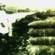 Fillette faisant face à un tas d'obus abandonnés. Chavignon. Aisne. Archives départementales de l'Aisne, cote FRAD002_2Fi_Chavignon_4, Author provided (no reuse)